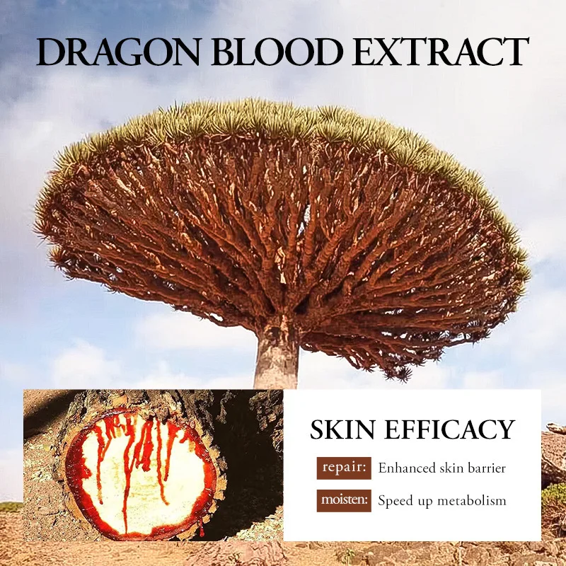 1/2/3pcs SADOER Ganoderma Lucidum Dragon Blood Facial Serum Face Lotion Moisturizing Face Emulsion Anti-aging Facial Essence 4