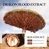 SADOER Ganoderma lucidum Dragon Blood Facial Serum Face Lotion Moisturizing Face Emulsion Oil Refreshing Control Facial Essence 4