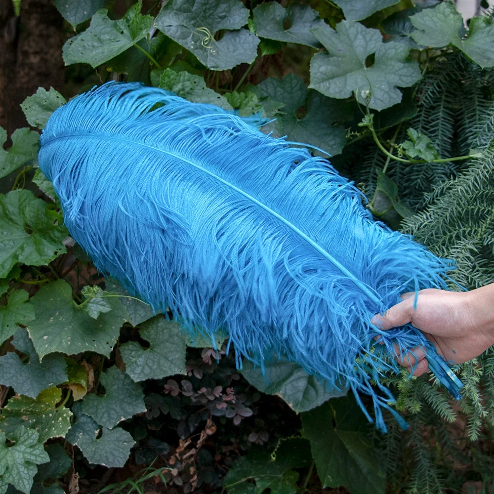 thumbnail image 1 of 10 piezas/lote de plumas de avestruz blancas naturales para manualidades, 15-45 cm, decoración de bodas, fiestas, centros de mesa, carnaval, Plumas Deco, 1 of 5