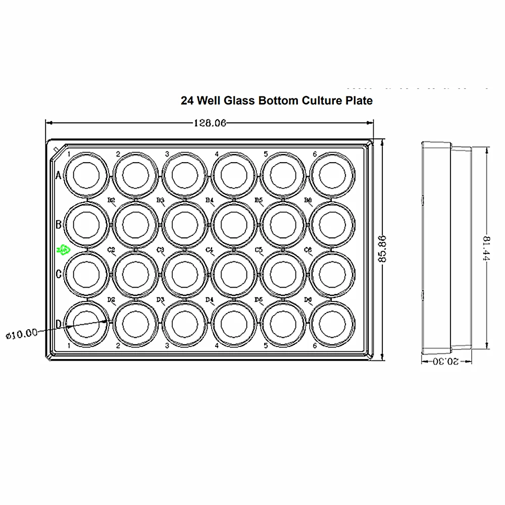 6 Well 24Wells Glass Bottom Cell Culture Plate 1/Pk