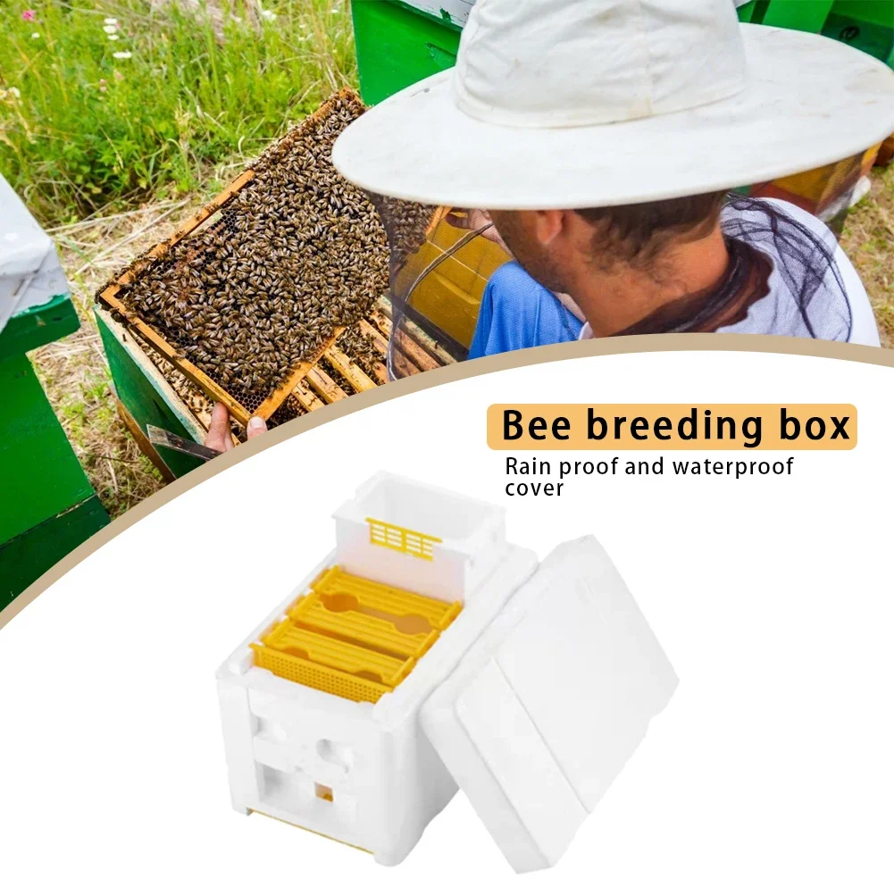 Beehive Beekeeping Box Tools Supplies Frame Holder Equipment Kit Pollination King Bees Hive Box