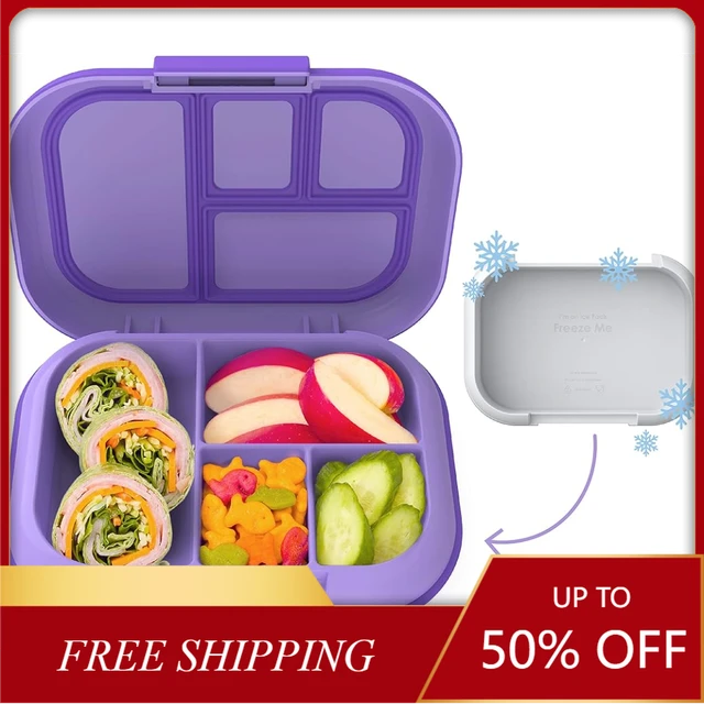 NEW Leak-Proof Bento Box with Removable Ice Pack & 4 Compartments