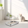 Stainless Steel Litter Box for Cat Large Metal Tray Open Style Easy Access Non Absorbent Odor Resistant Smooth Minimalist 2