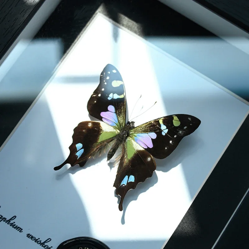

Roses, green phoenixes, butterflies, taxidermy gifts, rare insects, display frames, creative decorative paintings, ornaments, bi