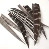 36pcs 4inch and 5inch Arrow Feather Turkey Feather Arrow Vanes For Arrow DIY Fletching Feather Arrow Accessory RW 6