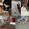 Kitten Coil Spiral Springs Cat Toys Interactive  Gauge Cat Spring Toy Colorful Springs Cat Pet Toy Pet Products 6