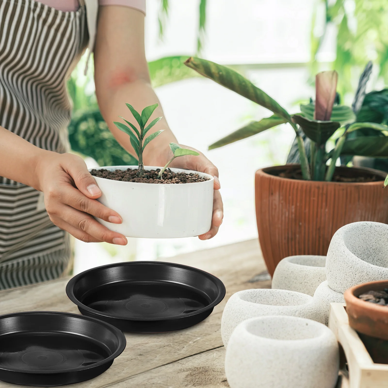 Vaso per Piante Fiori Interno Esterno Giardino Lime 24/20 cm