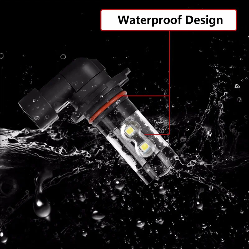 8591923527_380254531