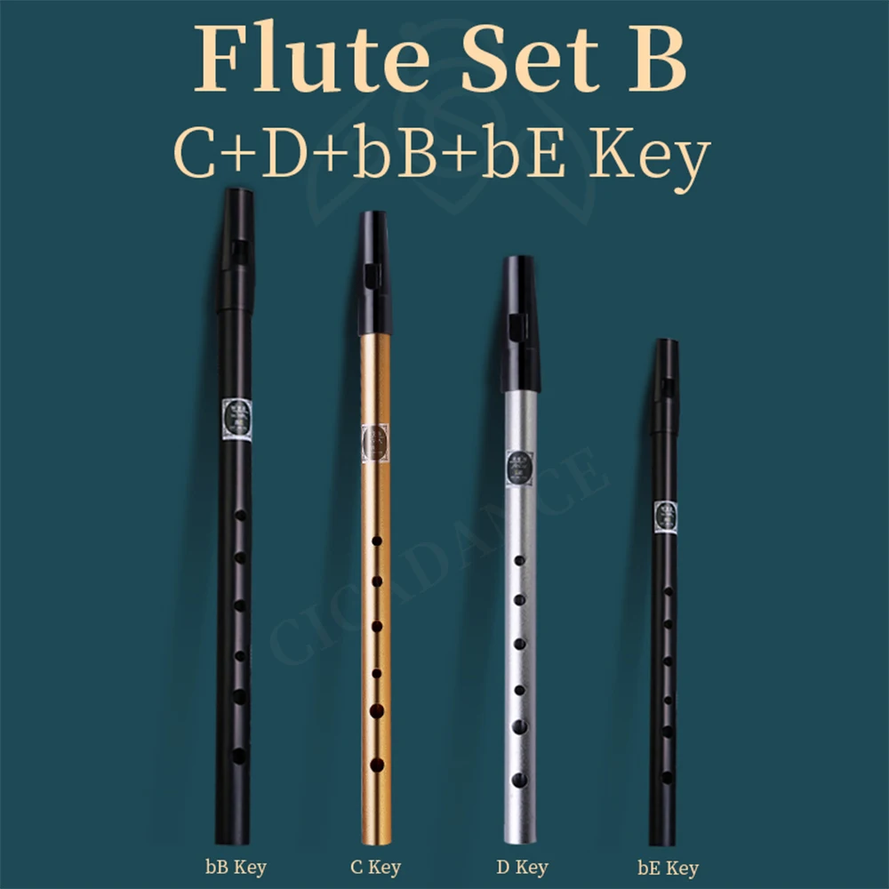 Flûte Irlandaise (tin Whistle) En Alliage D'aluminium - Clé De Ré, 6 Trous, Pour Débutants Et Professionnels