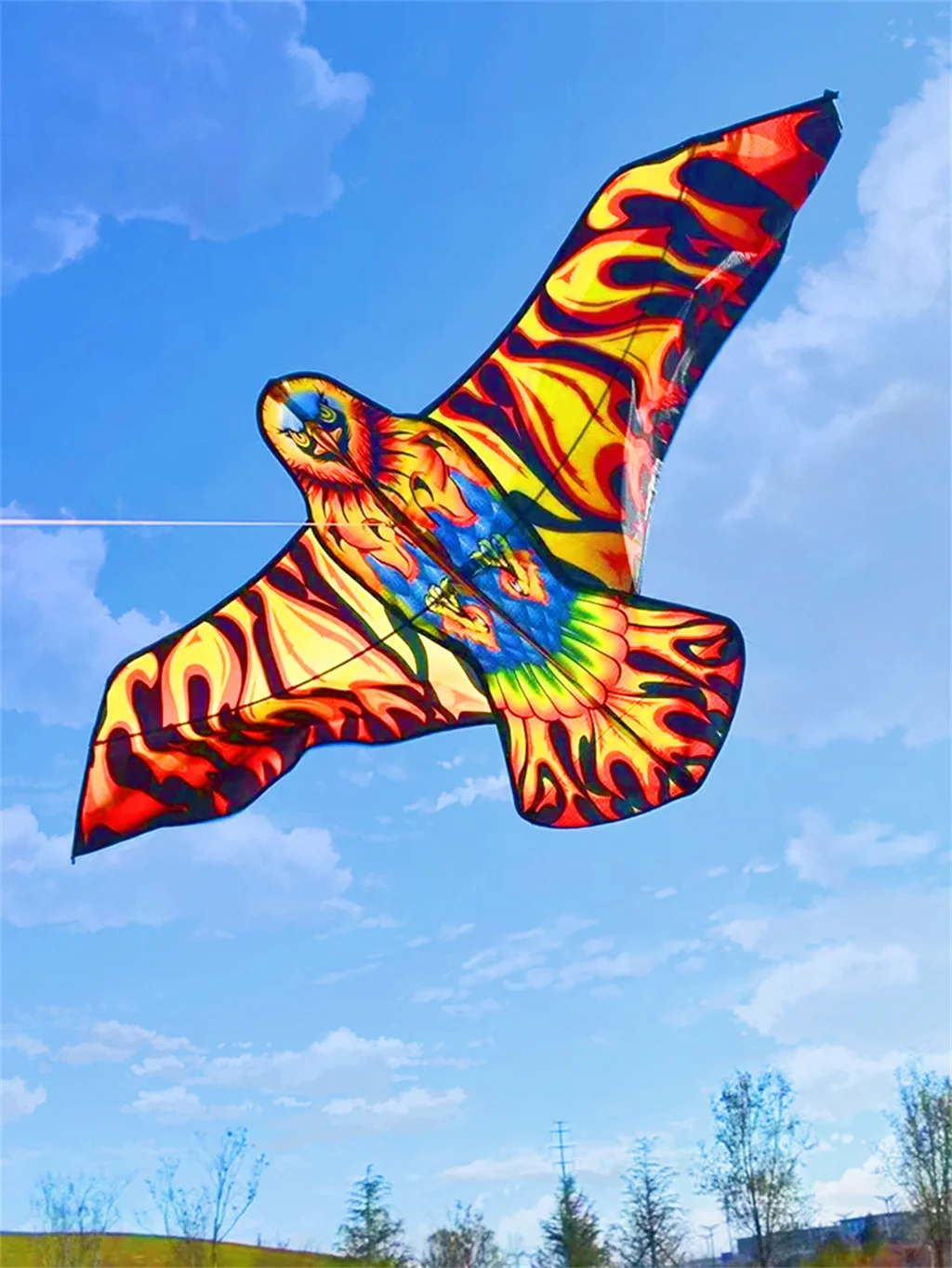Spedizione Gratuita Firebird Kite Flying Children Eagle Kite Toys Nylon Aquiloni Aquiloni Aquilone Volante Mulinello Gigante Aquilone Professionale Ko