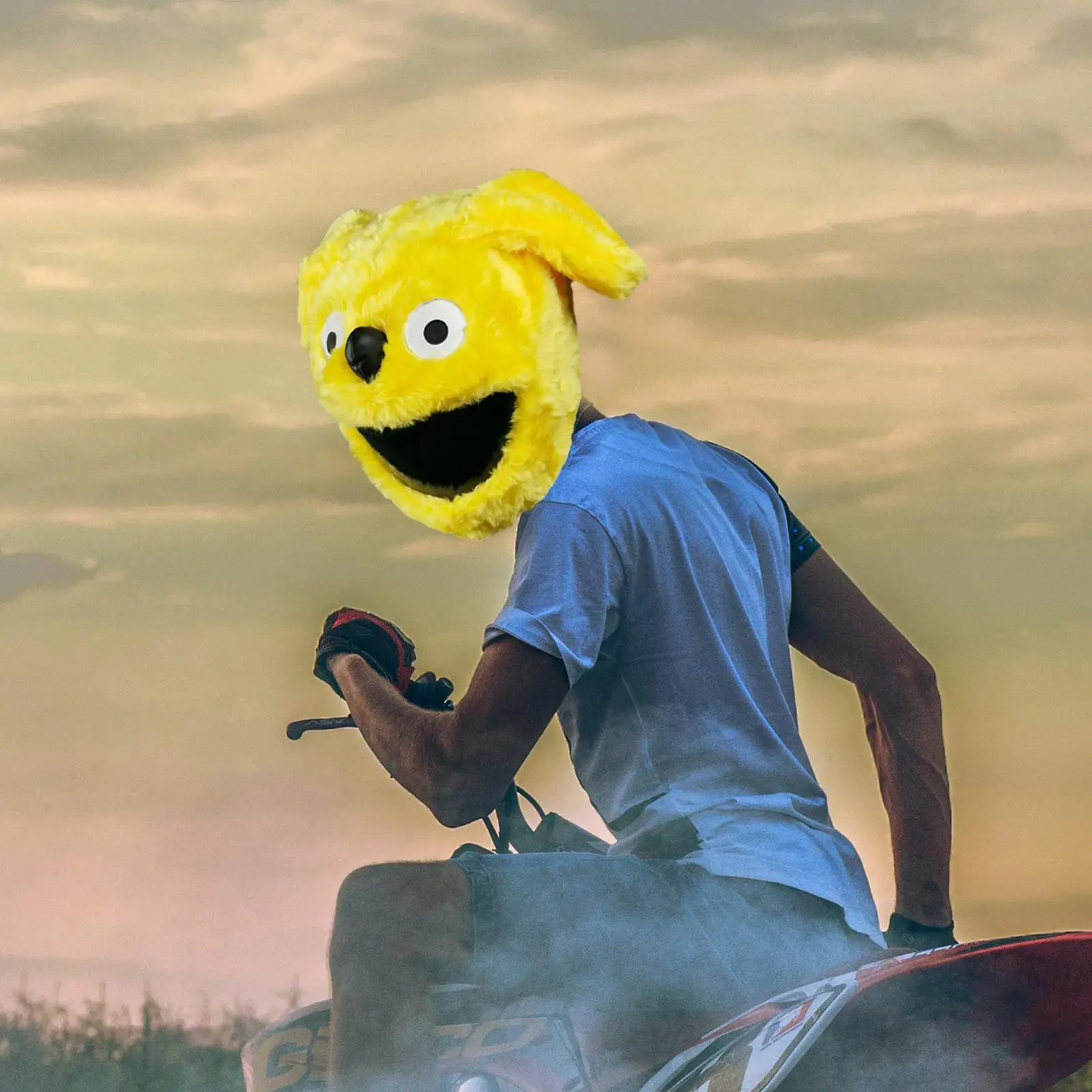Ǯ ̽  ε巯 ÷ ,  ȣ Ŀ