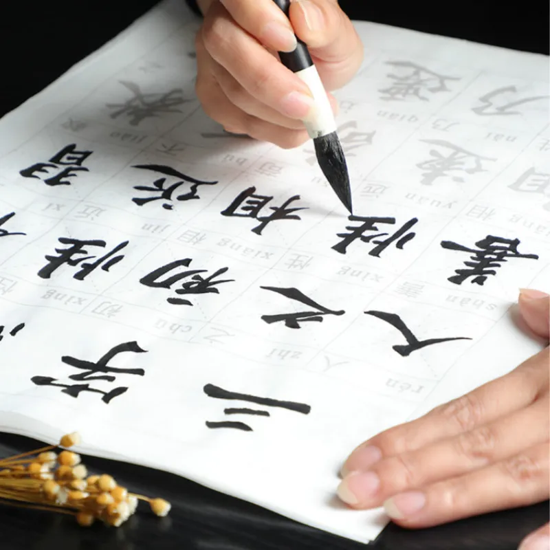 

Medium Regular Script Brush Pen Copybooks Chinese Xuan Paper Copybook Beginner Brush Calligraphy Copying Notebook with Pinyin