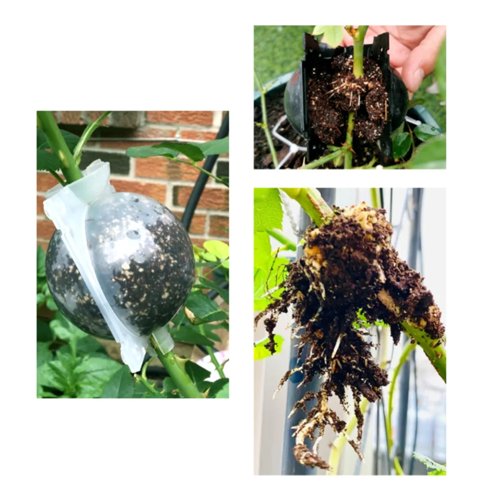 Plant Rooting Ball Incubator High Pressure Incubator Grafted Tree Rooting Seedling Cultivation