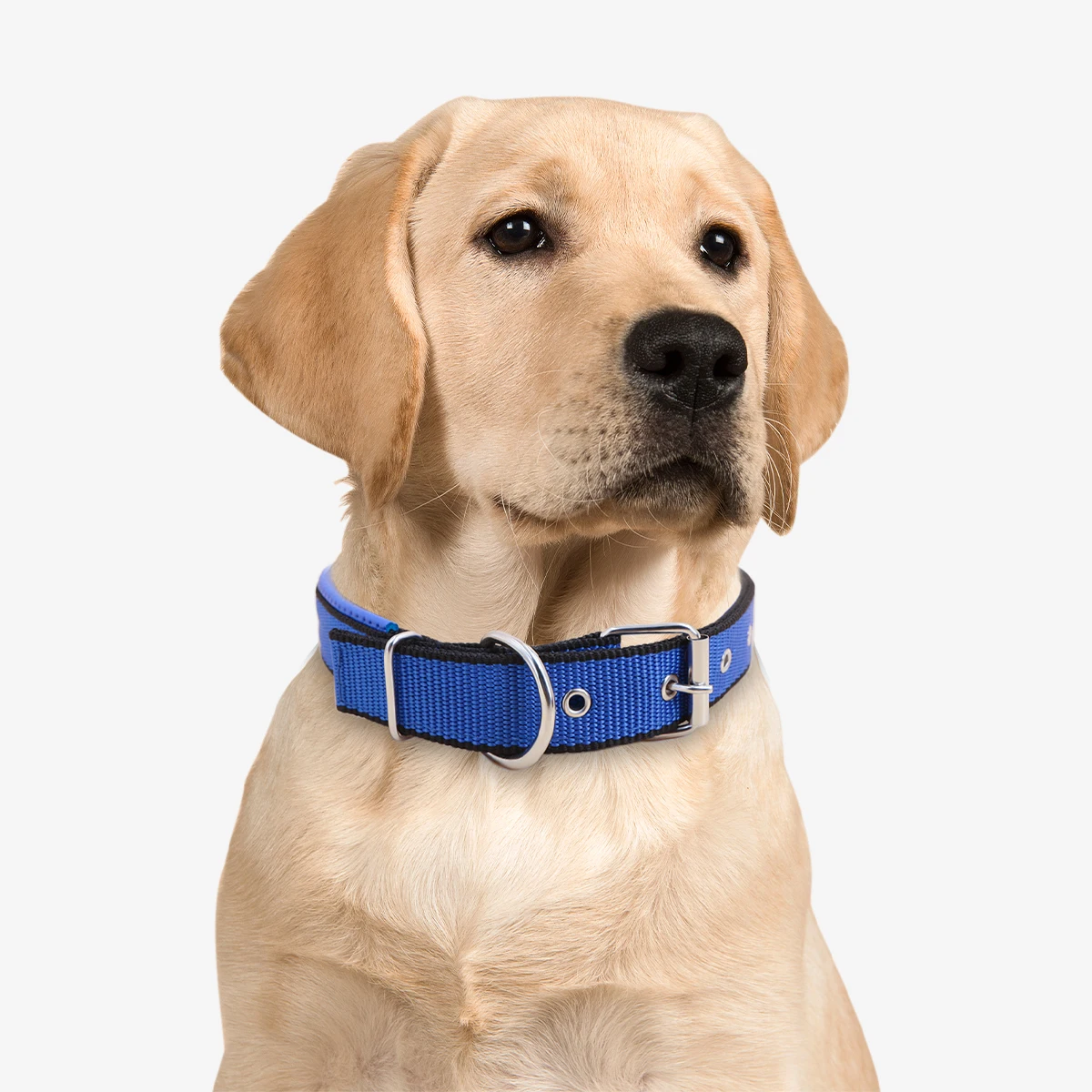 One Piece Nylon Dog Collar-Reversible Durable Natural Fabric-Fits Small to Medium Dogs
