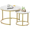 2-piece Nested Table Set, Living Room Circular Coffee Table with Golden Metal Frame, Marble Patterned Nested Table 1