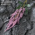 Pink purple