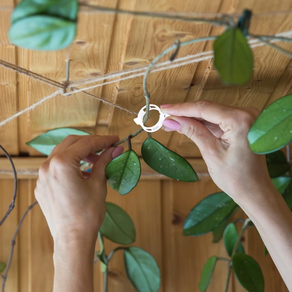 정원 식물 재사용가능 퀵 클립, 식물 덩굴 보호 접목 고정 도구, 야채 토마토용 식물 바인딩 클립, 100 개, 200 개 Best5 정원 식물 재사용가능 퀵 클립, 식물 덩굴 보호 접목 고정 도구, 야채 토마토용 식물 바인딩 클립, 100 개, 200 개 Best5