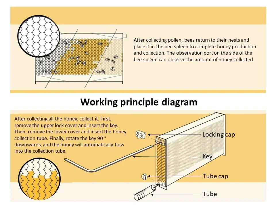 S0244468722474fb9a2d9e4df3ba7ccf8A &raquo; Green Gold GDP S0244468722474fb9a2d9e4df3ba7ccf8A