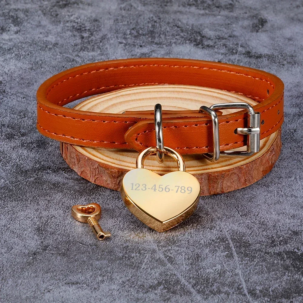 Customizable Dog Collar Tags Lock and Key Pendant for Dog Medal with Engraving Name 2