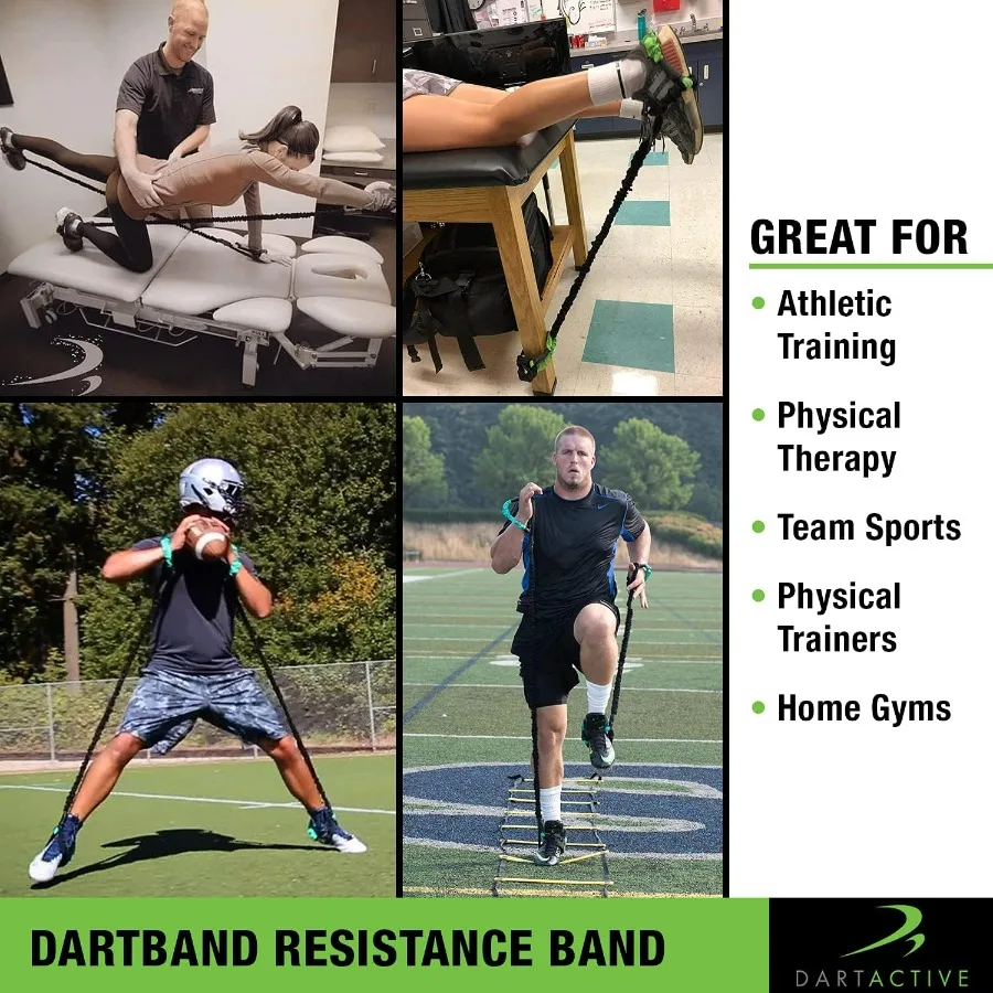 DartBand Premium Resistance Bands with Handles,Door Anchor,and Carabiner Clip for Athletic Training,Rehab,Strength Training,Yoga