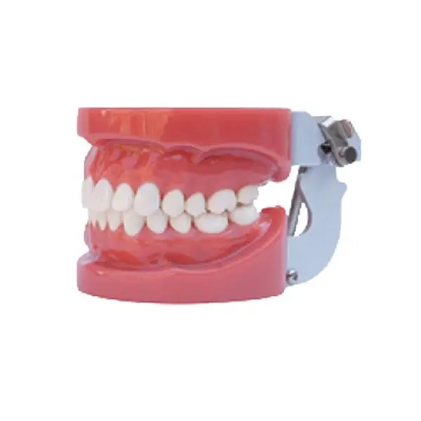 TJIRIS Beautiful Dental Product Store