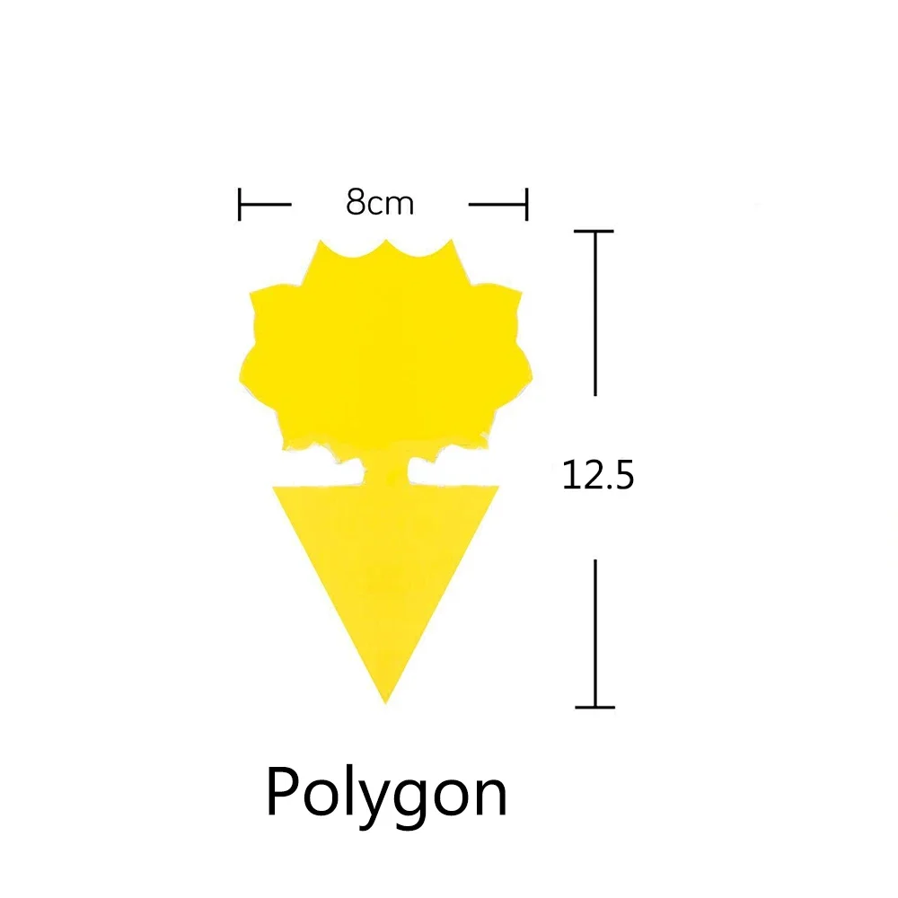 Poligono