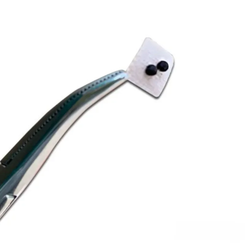 600Pcs/Bag Ear Acupuncture Massage Therapy Needle Patch Seeds Sticker Auricular Auriculotherapy Vaccaria