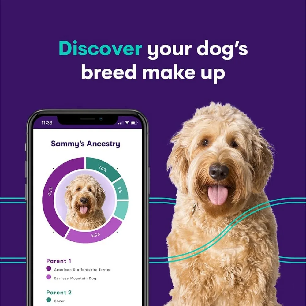 Dog DNA Test Comprehensive Dog Breed Test Kit Genetic Testing and Life Plan GenoPet+ for Canines Pet Strips