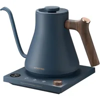 Electric Kettles, INTASTING Gooseneck Electric Kettle, ±1℉ Temperature Control, Stainless Steel Inner, Quick Heating, for Pour 1