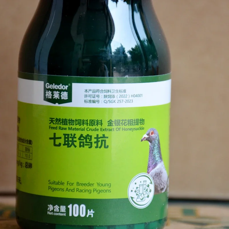 Pigeon Disease Treatment Seven pigeons against Salmonella Newcastle disease stubborn water green then throw food vomit racing pigeon pigeon special