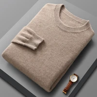 100% Merino Wool Sweater Men's Round Neck Knitted Hoodie Spring Autumn New Similar Cashmere Sweater Versatile Basic Menswear 1