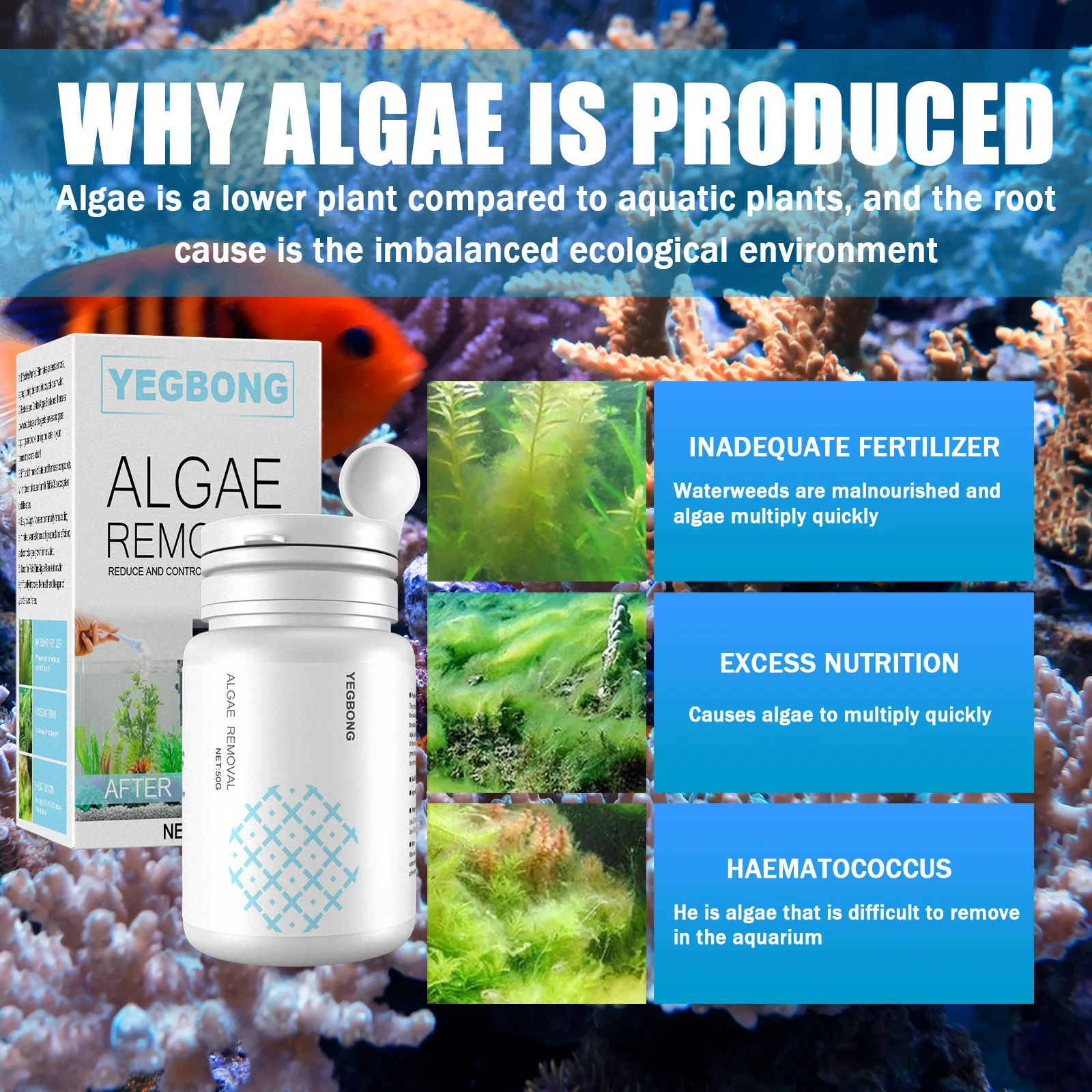 New Fish Tank Moss Remover Aquarium Algae Removal Powder Tablets