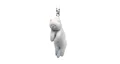 Tonkinese cat