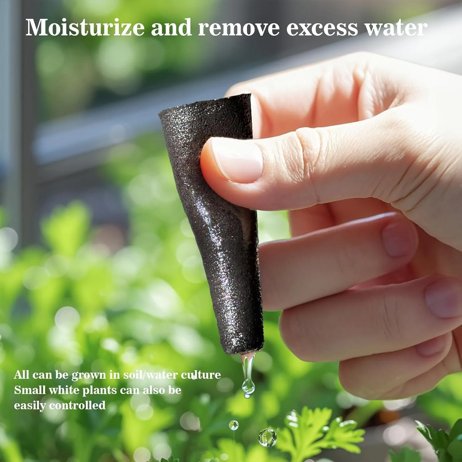 Hydroponic Pods Kit: 50 Grow Sponges with Labels
