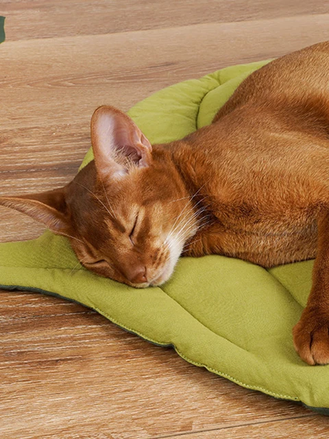 Cat Mattress Leaf Shape Cat Nest Cat and Dog Double-Sided Available Floor Mat Cover Pad Warm and Comfortable Cartoon Cat Bed Ind 6