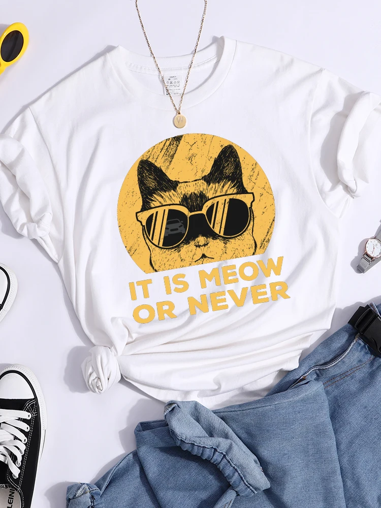

Футболка женская в стиле ретро с принтом «It's Meow Or Never»