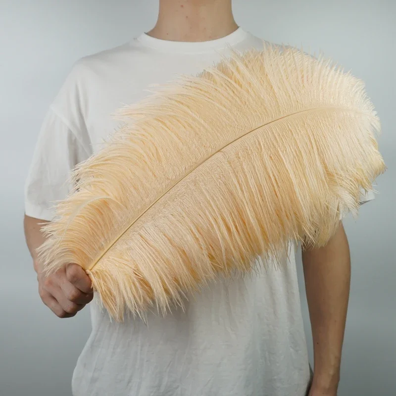 Ostrich Feathers 10Pcs Colorful For Clothes Crafts DIY Home Decor Table Centerpieces Vase
