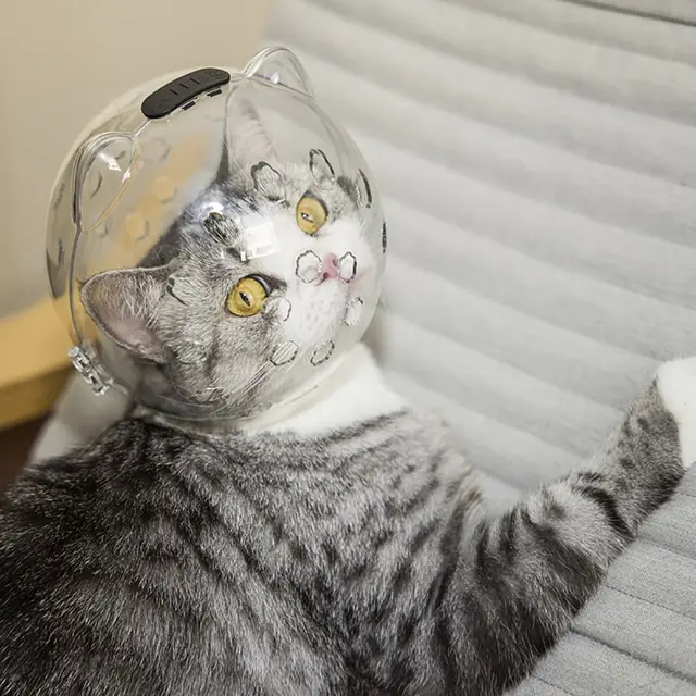 Sturdy Pet Grooming Bath Supplies Cat Head Cover Anti-bite Kitten Protective Helmet Space Hood Sturdy Pet Grooming Bath Supplies Cat Head Cover Anti-bite Kitten Protective Helmet Space Hood