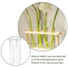 4 Pcs Hydroponic Test Tube Vase Terrarium Plant Propagation Tubes Flower Mini Vases Transparent Glass Flowers 6