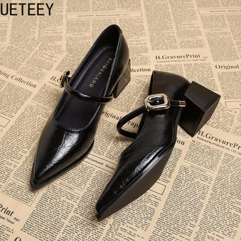 Designer Vintage Pointed Toe Women Mary Jane Shoes Fashion Shallow Buckle Shoes Ladies Elegant Dress Thick Heel Shoes 3