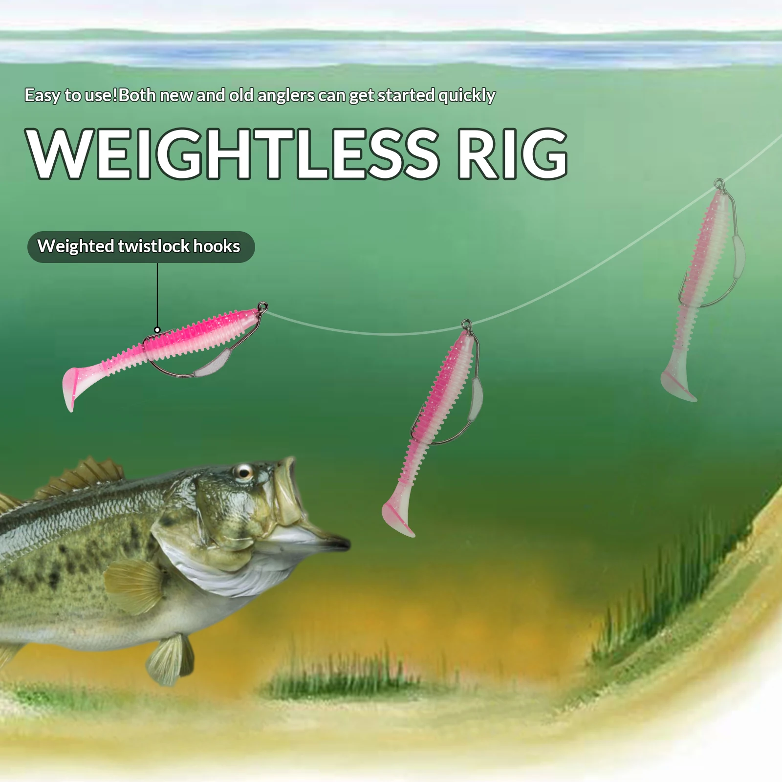 Bass Fishing Rigs Best Gear Ratio For Texas Rig Rig Drop Shot