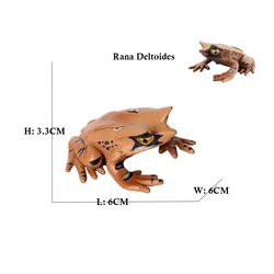Rainforest Animal Figurines - Squishy Frog Action Toy for Kids (NO. 11)