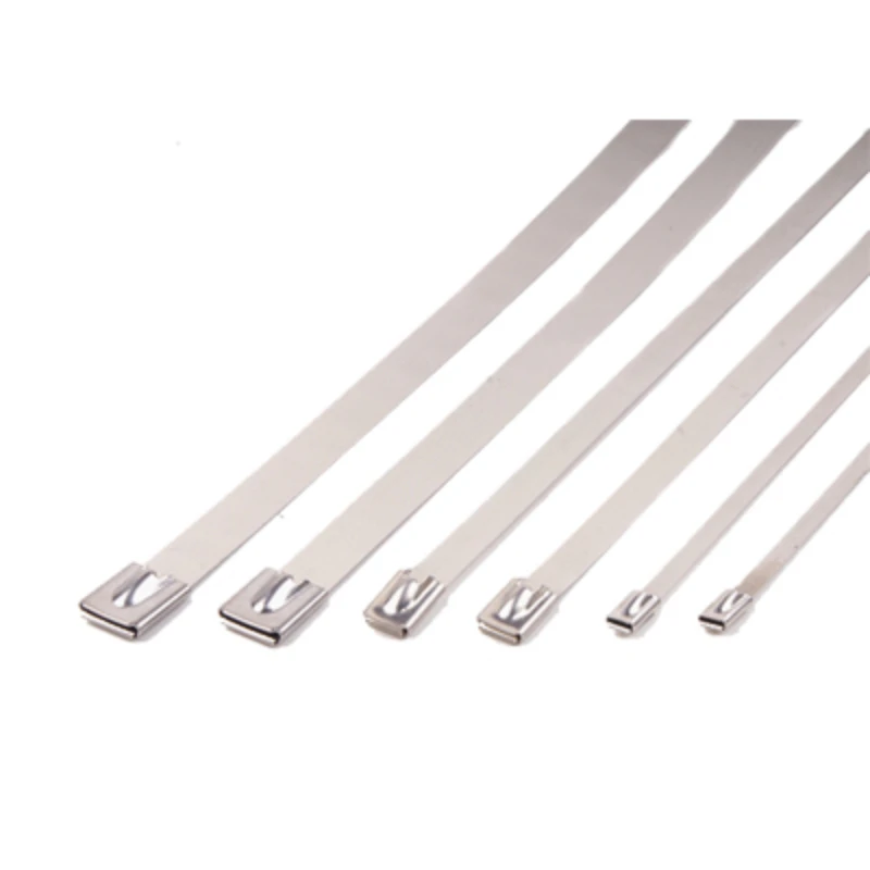 Cable Ties 100pcs for Exhaust Heat Straps Induction pipe 4.6mm width 100-700mm 304 Material