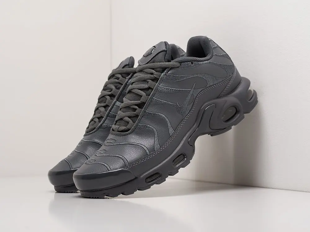Кроссовки Nike Air Max Plus Черный Демисезон Мужской | Обувь