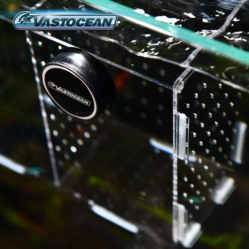 Magnetic Combined Acrylic Hatching Isolation Box Breeding Box for Fish Tank