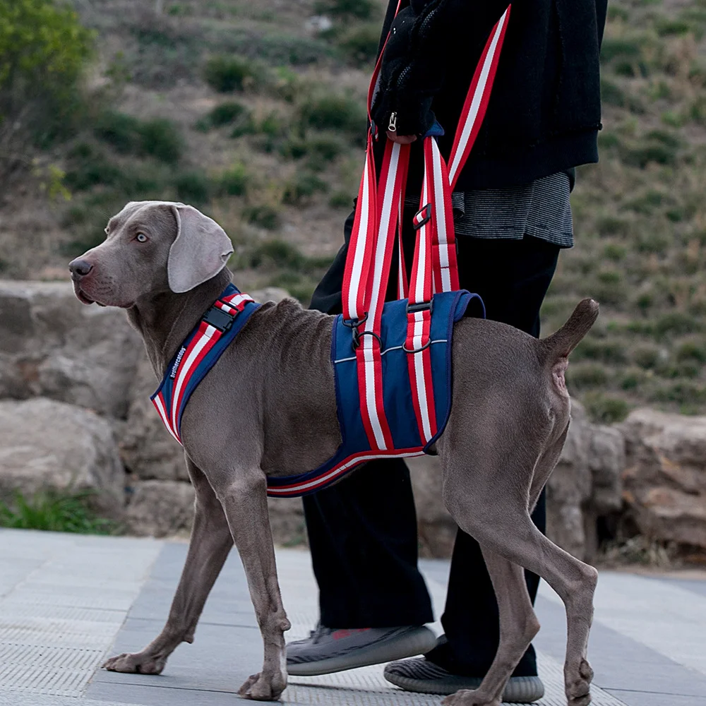 Dog Sling Back Adjustable Pet Dog Support Harness Rear Lifting Harness