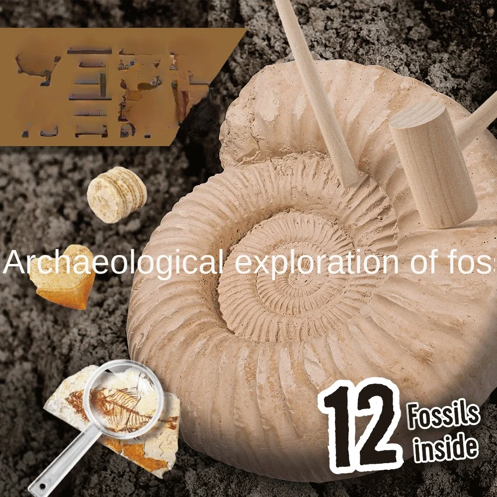 BigMACNaturalFossilArchaeologicalExcavationChildrensScienceand