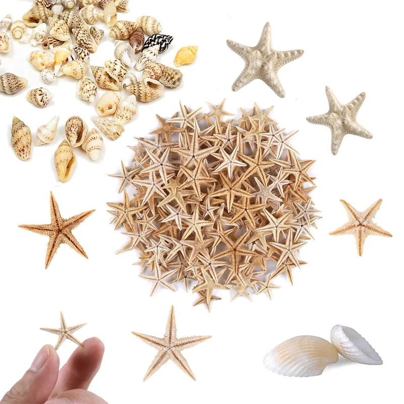 Decoración Estrella De Mar Natural Para 1-5cm 100 Piezas