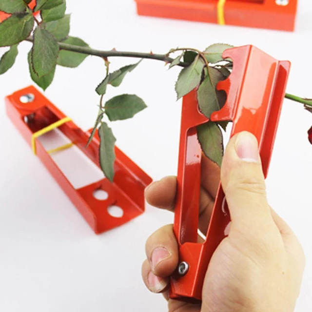 Useful Thorn Stripper Poratble Compact Tree Pruner Rose Thorn Stem Leaf  Stripper Cutting Tool Rose Trimmer