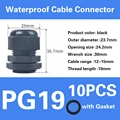 PG19-black
